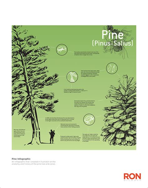 Pine Tree Parts Diagram