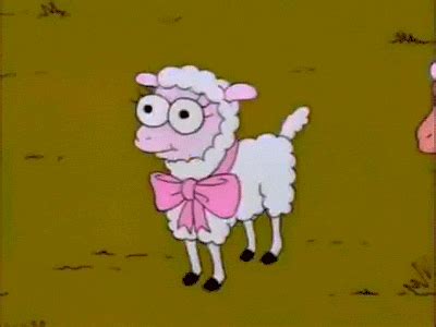 Sheep GIFs on Giphy