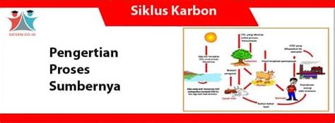 Pembahasan Siklus Karbon Lengkap Dosen Co Id