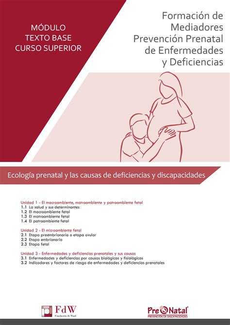 M Ecologia Fetal Causas Y Discapacidades M Dulo Texto Base Curso