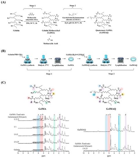 Gels Free Full Text Synthesis And Modification Of Gelatin