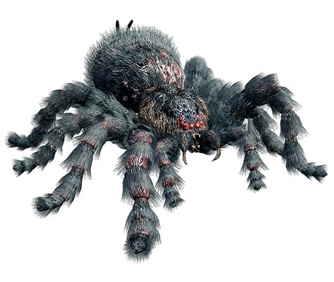giant spider resident evil wiki fandom