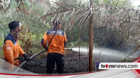 Karhutla Di Kalsel Dan Kalteng Masih Terjadi Upaya Pemadaman Hingga