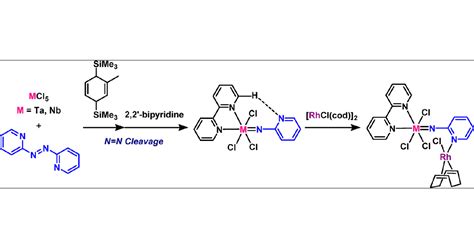 Synthesis Of Pyridylimido Complexes Of Tantalum And Niobium By