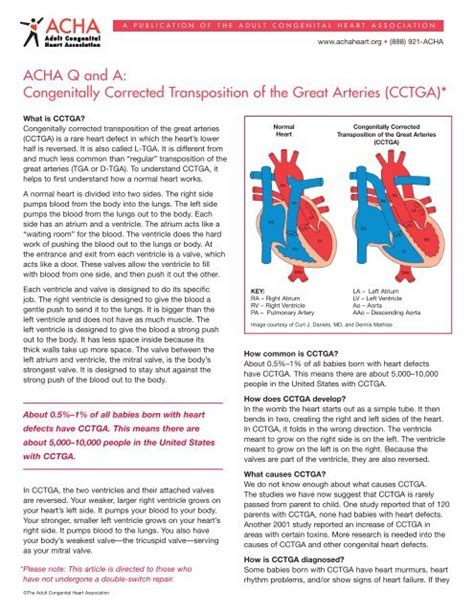 Cctga Adult Congenital Heart Association