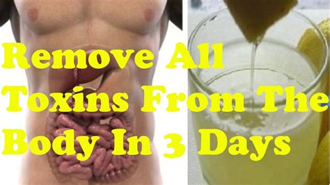 Remove All Toxins From The Body In 3 Days Cleansing How To Detox