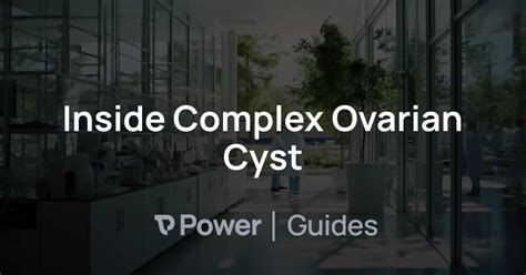 Inside Complex Ovarian Cyst Power