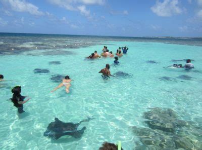 Stingray City - Discover Antigua Barbuda