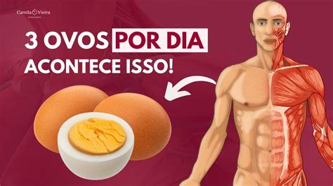 O Que Acontece O Seu Corpo Se Comer Ovos Todos Os Dias Aprenda