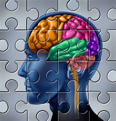 Procedural Memory: Definition and Examples | Feria de salud ...