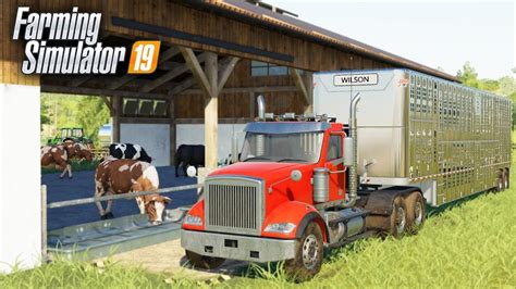 FS19 WELCOME HOME COWS TRUCKING CATTLE TO THE PASTURE EP 9 YouTube