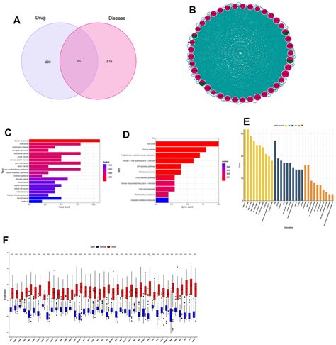 New Perspectives On The Potential Of Tetrandrine In The Treatment Of