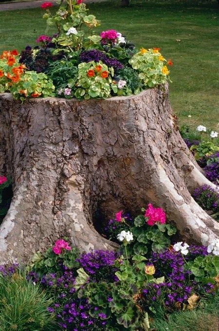 Living The Craft Life Ways To Decorate Hide A Tree Stump In Your Yard