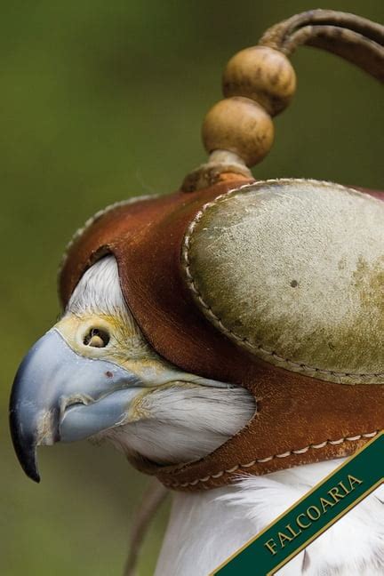 Falcoaria Falc O Capuz Formato A P Ginas Cinza Discreto