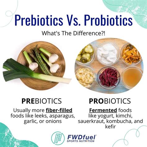 25 Best Prebiotic Foods Ultimate Prebiotic Foods List PDF FWDfuel