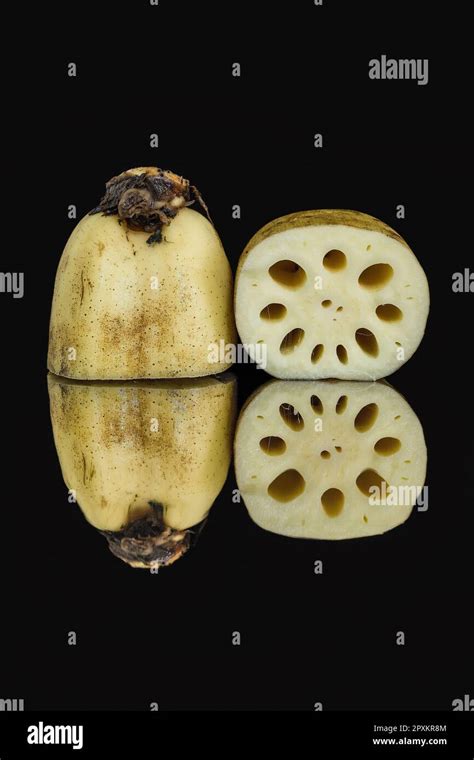 Cross Section Of Lotus Root In Still Life Photography Stock Photo Alamy