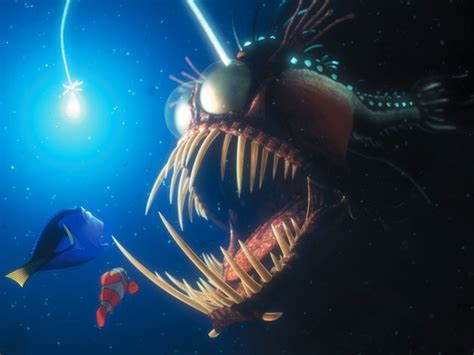 Finding Nemo Gallery | Disney Movies
