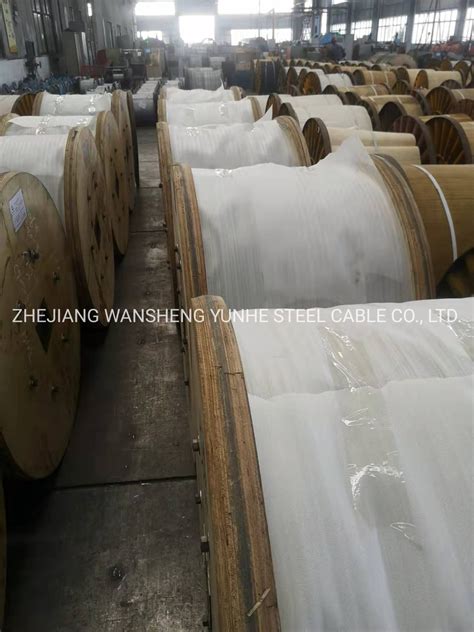 Competitive Price ASTM B415 Standard AWG 10 Aluminium Clad Steel Wire