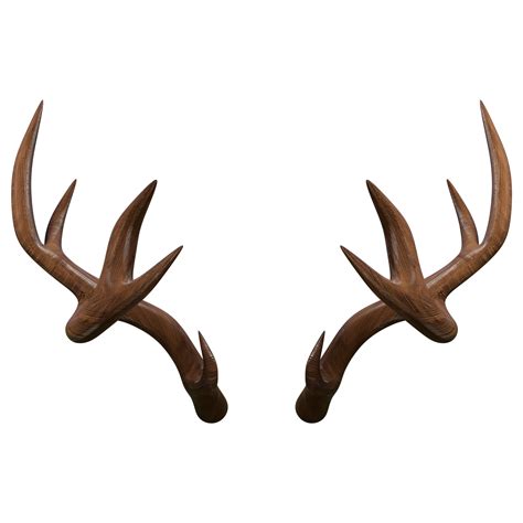 Illustration Of A Massive Set Of Deer Horns Rendered In 3D 17339769 PNG