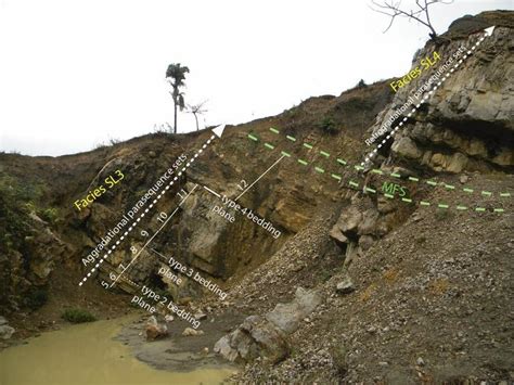 Photograph Shows A Fossiliferous Limestone Facies Facies SL1 B