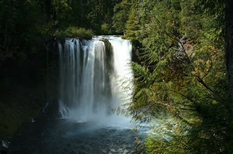 Best Hikes In Willamette National Forest Or Trailhead Traveler