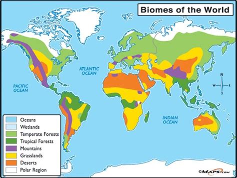 KS3 Ecosystems and Biomes scheme of learning | Teaching Resources