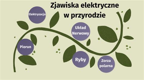 Zjawiska Elektryczne W Przyrodzie By W D On Prezi