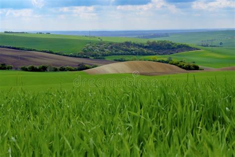 Wavy Spring Fields in South Moravia. Moravian Tuscany, South Moravia ...