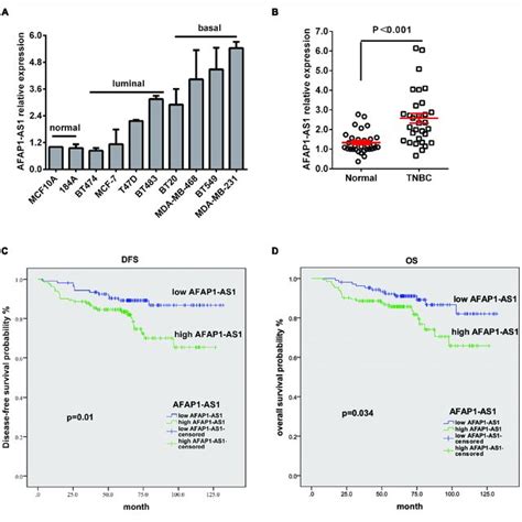 LncRNA AFAP1 AS1 Is Up Regulated In TNBC And Up Regulation Of LncRNA