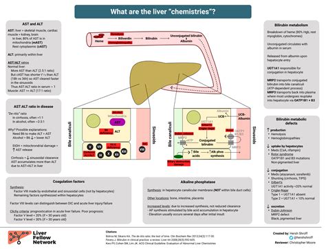 Medical Chart Ast And Alt Liver Range