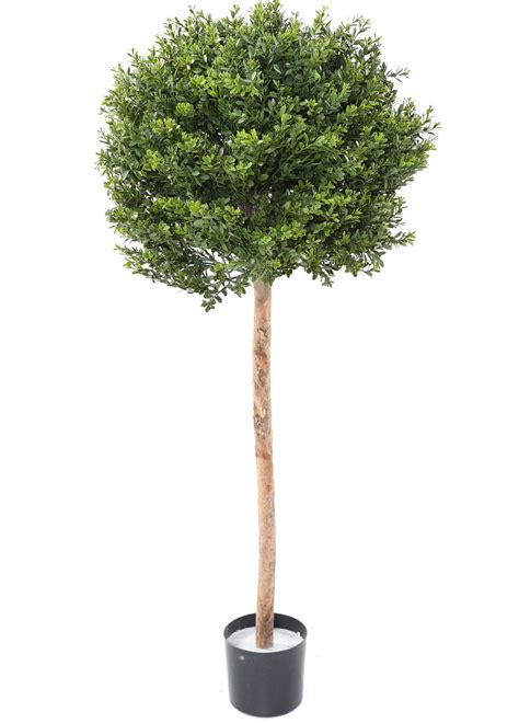 Plante Artificielle Haute Gamme Sp Cial Ext Rieur Buis Artificiel