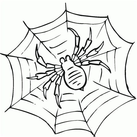 Free Printable Spider Web Coloring Pages For Kids