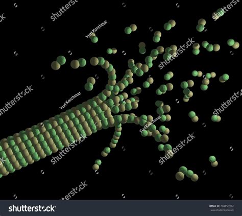 Cytology 3d Illustration Shrinking Microtubule Cell Stock Illustration 704455972 Shutterstock