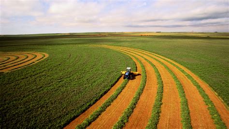 Tend Ncias E Desafios Do Agroneg Cio Em