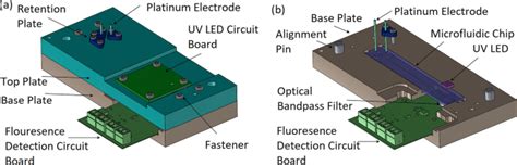 Microchip Capillary Electrophoresis Dairy Device Using Fluorescence Spectroscopy For Detection