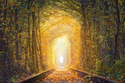 Fall Season Landscape Fantastic Autumn Trees Tunnel With Old Railway