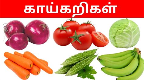 Vegetables Names Learn Vegetables Names In Tamil