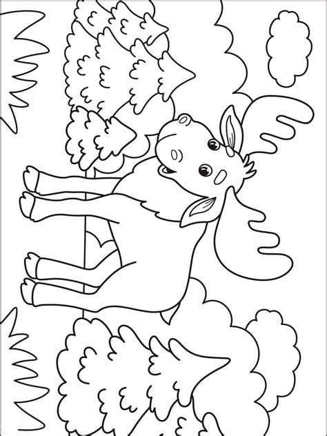 moose coloring pages 3
