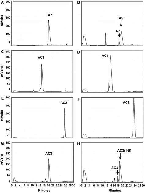 Hplcuv Profile Of The Acca Peptides And Following Exposure To Ace A