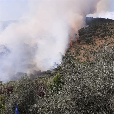 Non Si Placano Gli Incendi In Provincia Di Isernia Dopo Pozzilli E