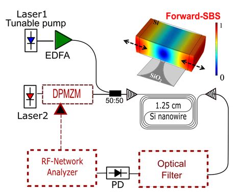 Tunable Narrowband Microwave Photonic Filter Created By