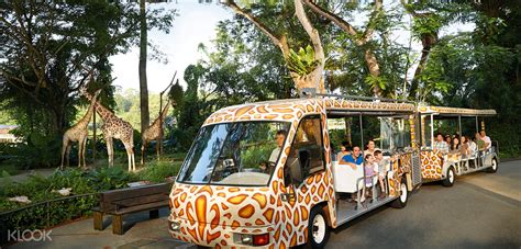 Buy Singapore Zoo Tickets Online - World Famous 'Open Concept' Zoo