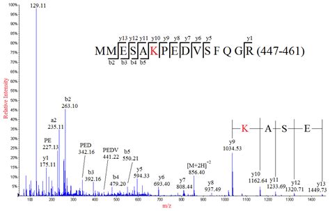 Mass Spectrometry Analysis Coupled With De Novo Sequencing Reveals