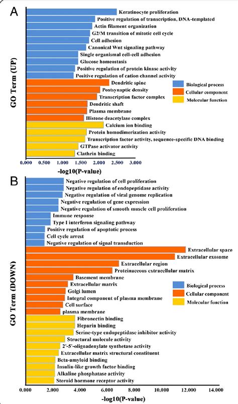 Go Analysis Of The Degs The Go Categories Include Bp Cc And Mf Download Scientific Diagram