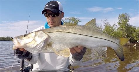 How To Catch Big Redfish Trout And Snook In Clear Shallow Water