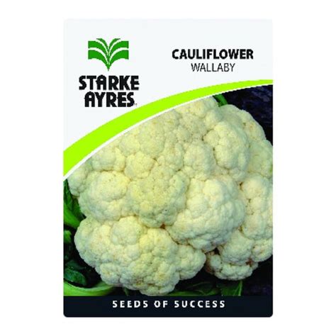 Starke Ayres Cauliflower Seed 15g Smart Price Specials PnP Home