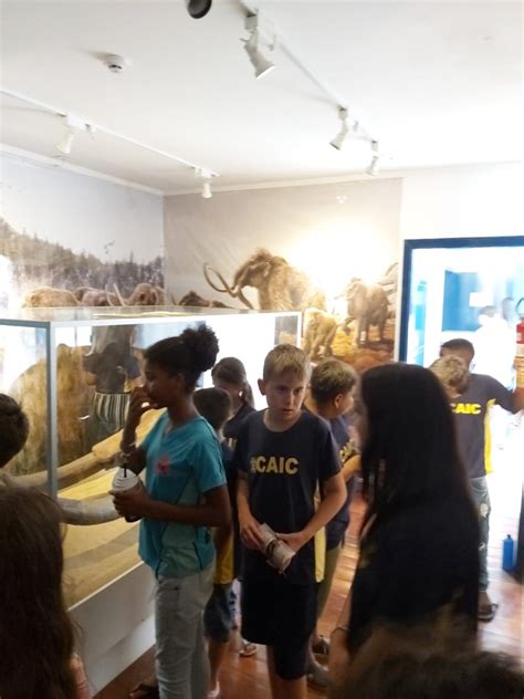 Alunos Do Caic Visitam O Museu Em Pains Ltimas Not Cias