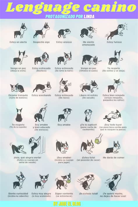 Language Canino Actividades Para Perro Entrenamiento Del Perrito