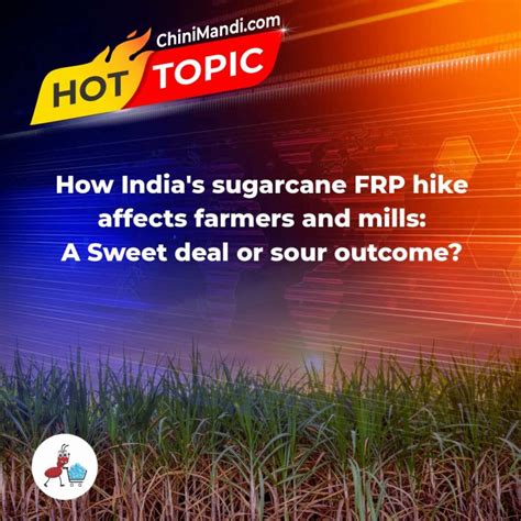 How India S Sugarcane Frp Hike Affects Farmers And Mills A Sweet Deal