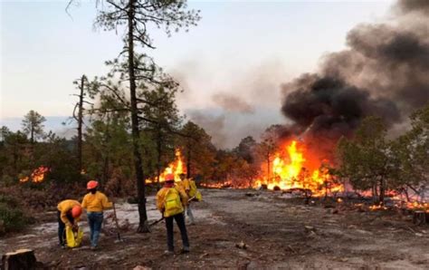 Sigue Combate A Nueve Incendios Activos En La Sierra